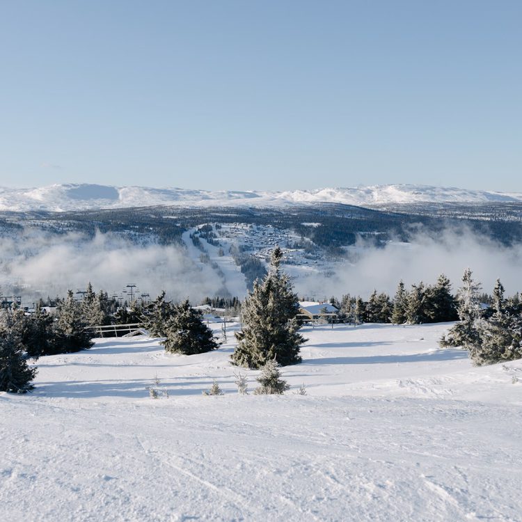 BANNERE SUMMIT KVITFJELL Kontakt oss