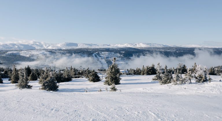 BANNERE SUMMIT KVITFJELL Kontakt oss