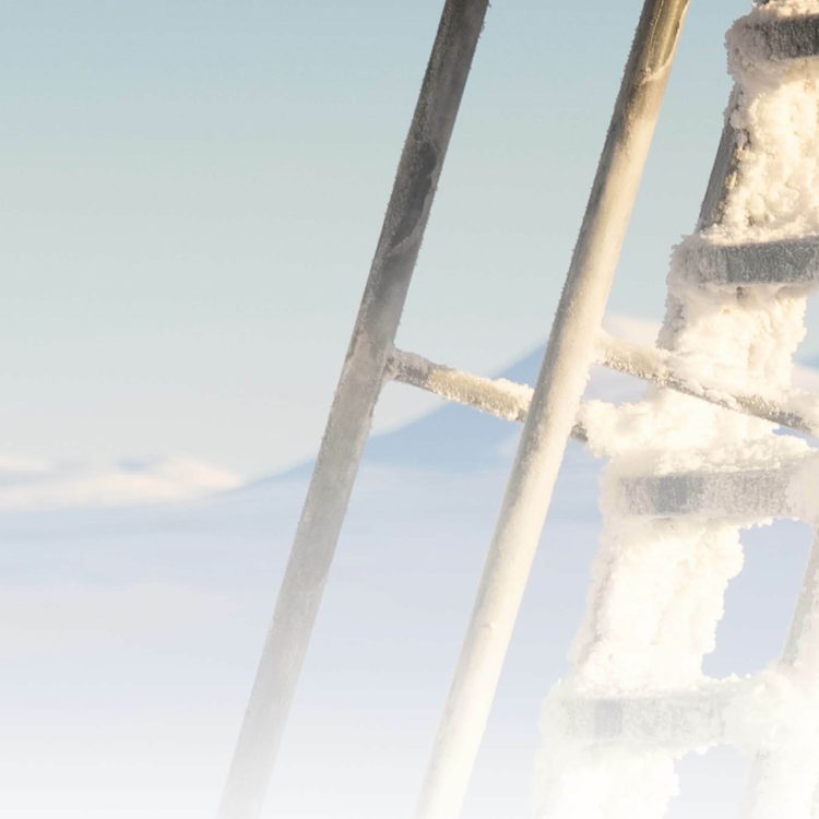 Bannemal webside VISION CAPITAL FORUM