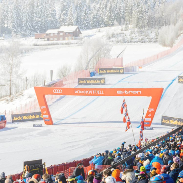 Banner Webside Mal OL